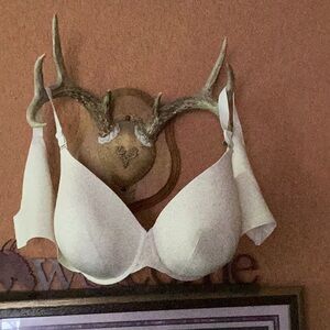 💖  EUC Cacique 44 DDD Ivory  Lightly Lined Under Wire NICE RACK  🦌